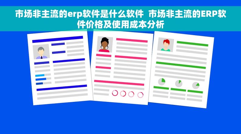 市场非主流的erp软件是什么软件  市场非主流的ERP软件价格及使用成本分析