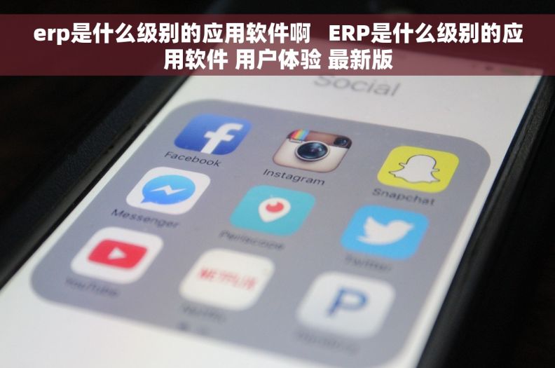 erp是什么级别的应用软件啊   ERP是什么级别的应用软件 用户体验 最新版