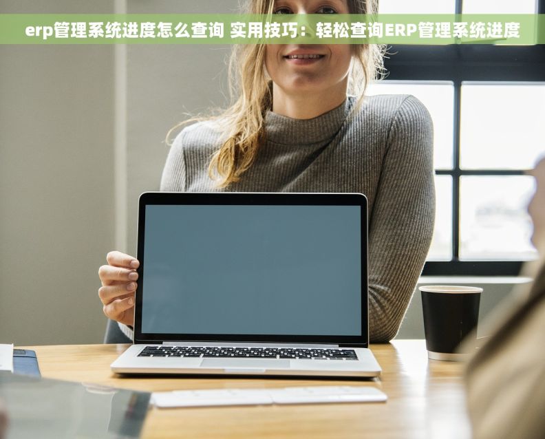 erp管理系统进度怎么查询 实用技巧：轻松查询ERP管理系统进度