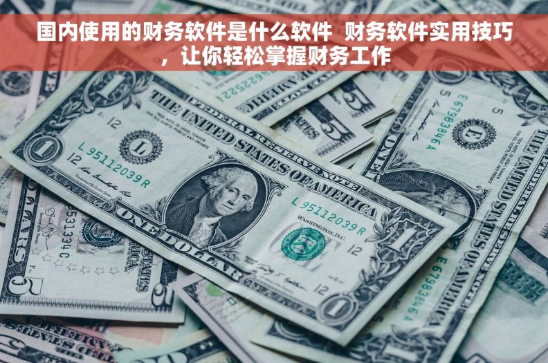 国内使用的财务软件是什么软件  财务软件实用技巧，让你轻松掌握财务工作