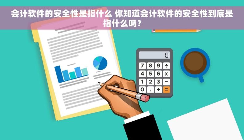 会计软件的安全性是指什么 你知道会计软件的安全性到底是指什么吗？