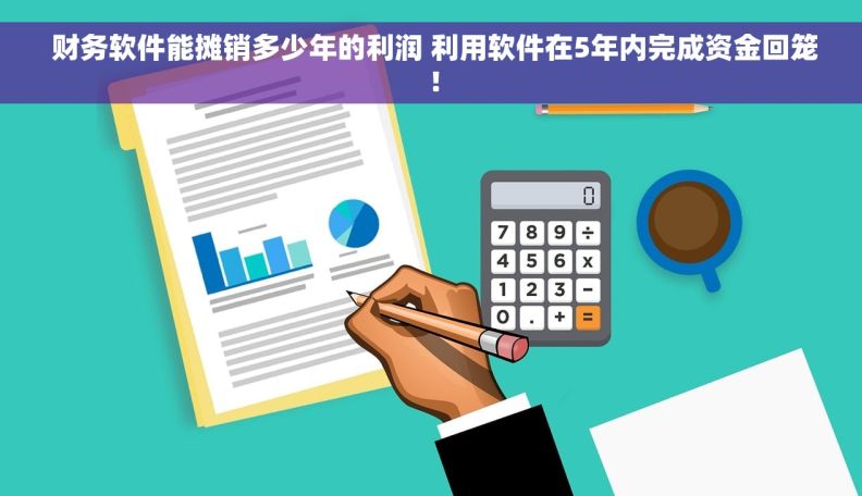  财务软件能摊销多少年的利润 利用软件在5年内完成资金回笼！