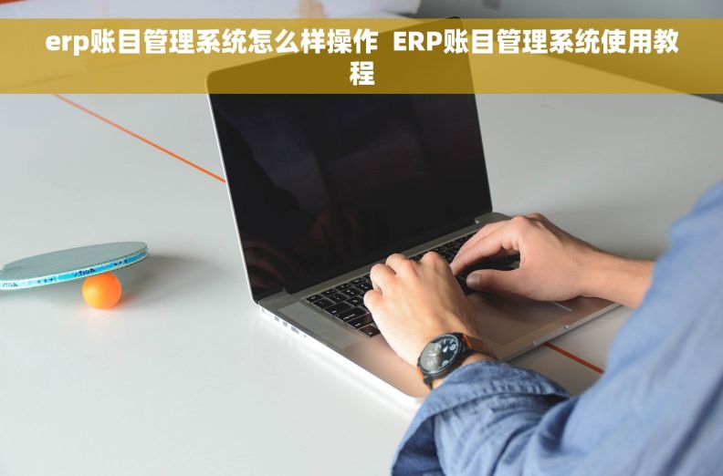 erp账目管理系统怎么样操作  ERP账目管理系统使用教程