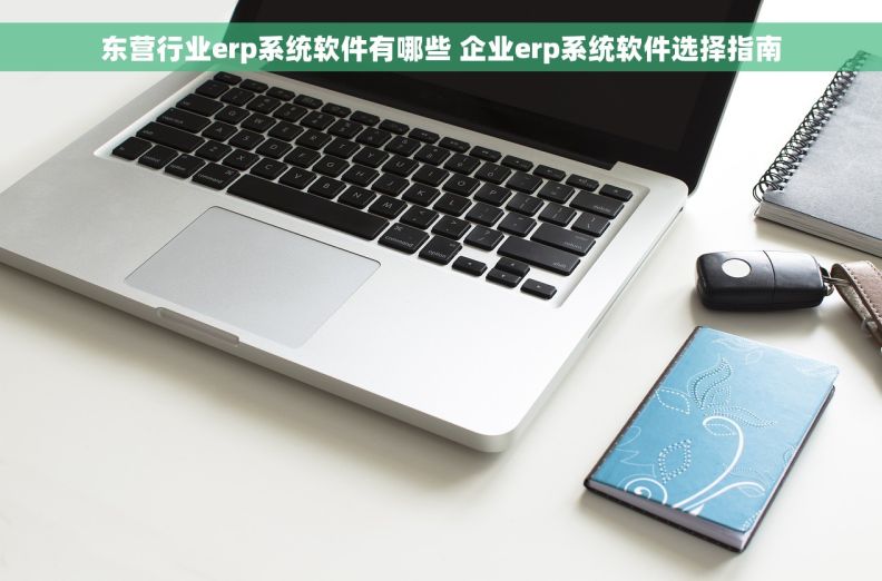 东营行业erp系统软件有哪些 企业erp系统软件选择指南