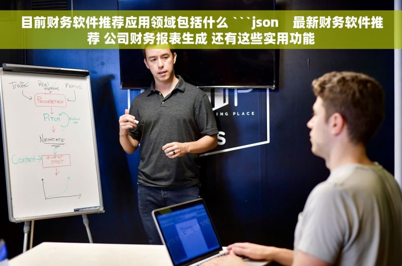 目前财务软件推荐应用领域包括什么 ```json    最新财务软件推荐 公司财务报表生成 还有这些实用功能