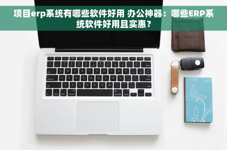 项目erp系统有哪些软件好用 办公神器：哪些ERP系统软件好用且实惠？