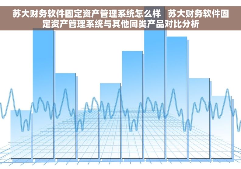 苏大财务软件固定资产管理系统怎么样   苏大财务软件固定资产管理系统与其他同类产品对比分析