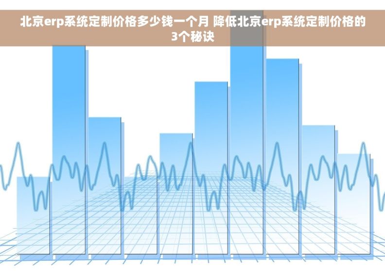 北京erp系统定制价格多少钱一个月 降低北京erp系统定制价格的3个秘诀