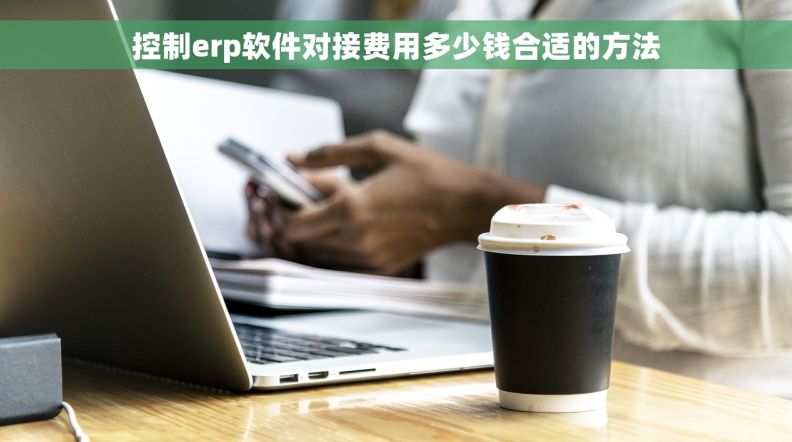 控制erp软件对接费用多少钱合适的方法