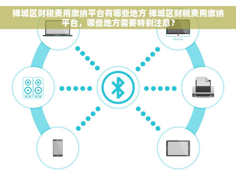 禅城区财税费用缴纳平台有哪些地方 禅城区财税费用缴纳平台，哪些地方需要特别注意？