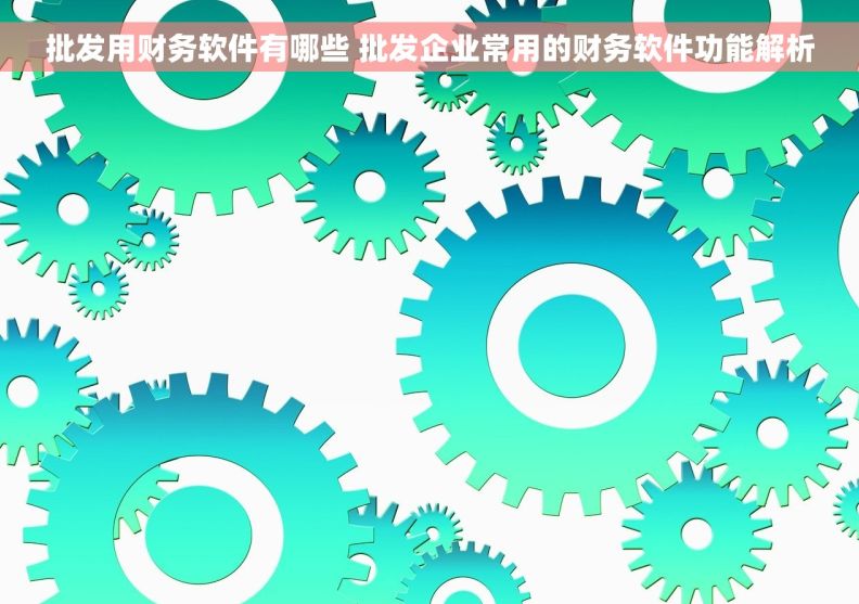 批发用财务软件有哪些 批发企业常用的财务软件功能解析