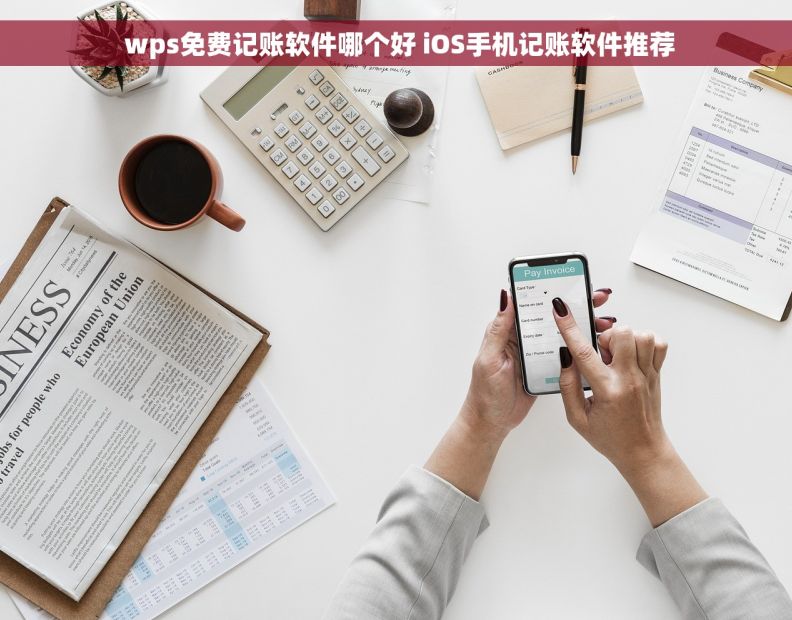  wps免费记账软件哪个好 iOS手机记账软件推荐