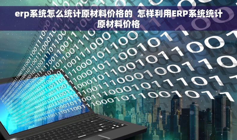 erp系统怎么统计原材料价格的  怎样利用ERP系统统计原材料价格