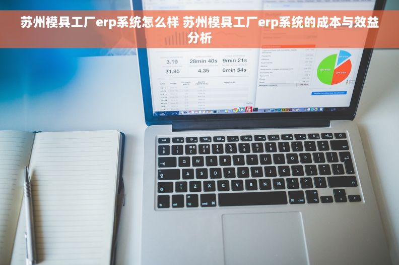 苏州模具工厂erp系统怎么样 苏州模具工厂erp系统的成本与效益分析