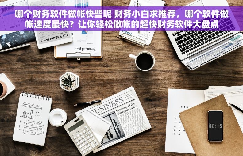 哪个财务软件做帐快些呢 财务小白求推荐，哪个软件做帐速度最快？让你轻松做帐的超快财务软件大盘点