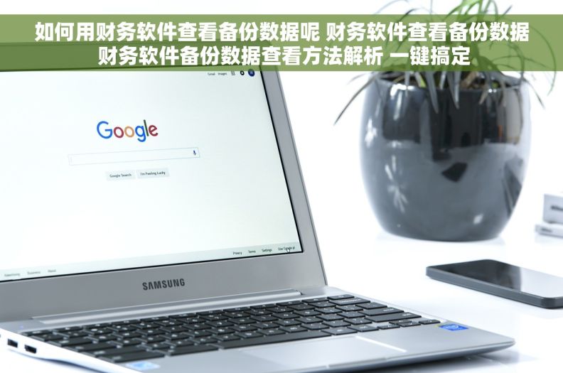 如何用财务软件查看备份数据呢 财务软件查看备份数据 财务软件备份数据查看方法解析 一键搞定