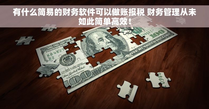 有什么简易的财务软件可以做账报税 财务管理从未如此简单高效！