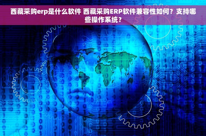 西藏采购erp是什么软件 西藏采购ERP软件兼容性如何？支持哪些操作系统？