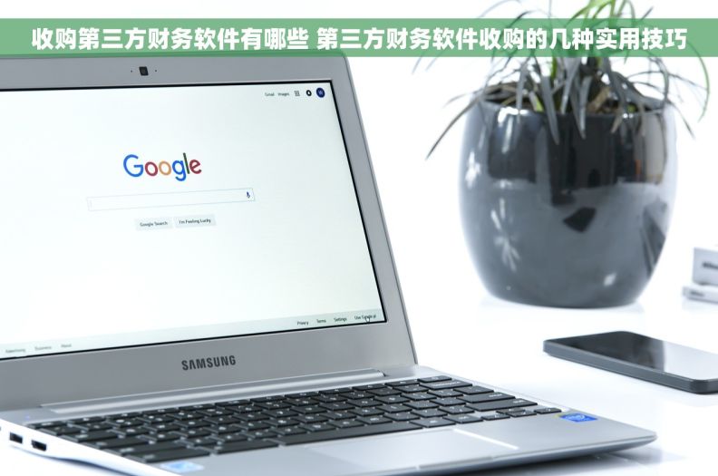 收购第三方财务软件有哪些 第三方财务软件收购的几种实用技巧