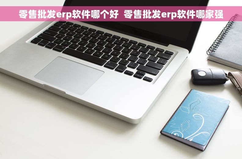 零售批发erp软件哪个好  零售批发erp软件哪家强