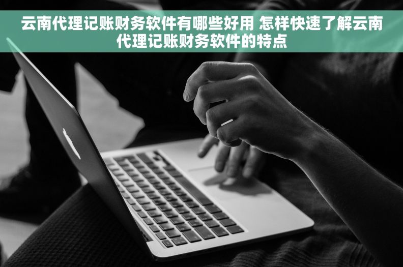 云南代理记账财务软件有哪些好用 怎样快速了解云南代理记账财务软件的特点