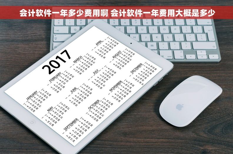  会计软件一年多少费用啊 会计软件一年费用大概是多少