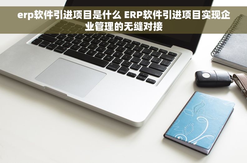 erp软件引进项目是什么 ERP软件引进项目实现企业管理的无缝对接