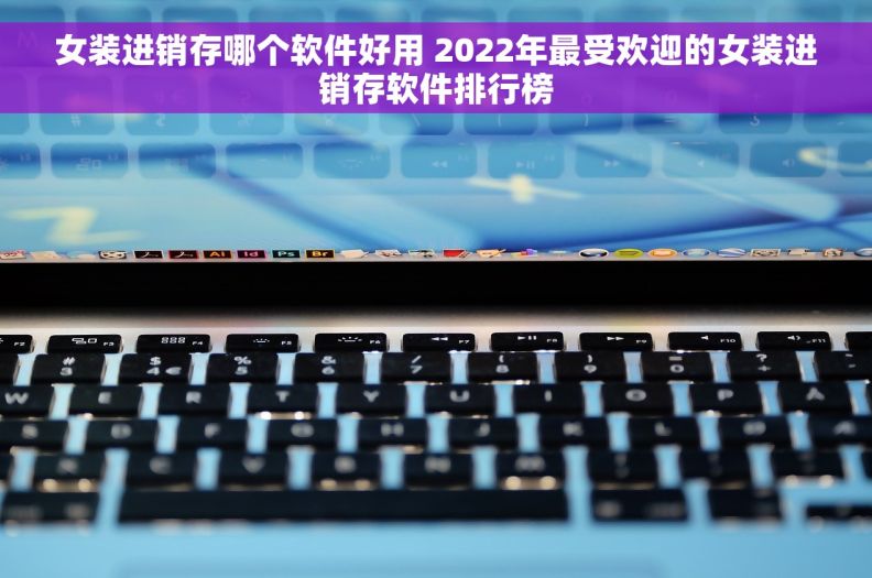 女装进销存哪个软件好用 2022年最受欢迎的女装进销存软件排行榜