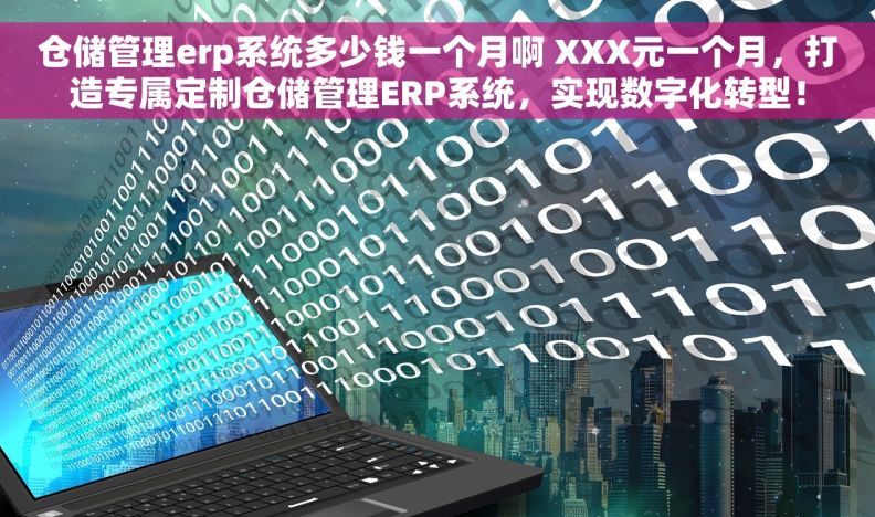 仓储管理erp系统多少钱一个月啊 XXX元一个月，打造专属定制仓储管理ERP系统，实现数字化转型！