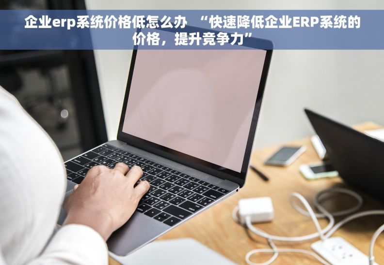 企业erp系统价格低怎么办  “快速降低企业ERP系统的价格，提升竞争力”