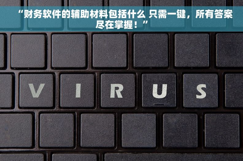 “财务软件的辅助材料包括什么 只需一键，所有答案尽在掌握！”