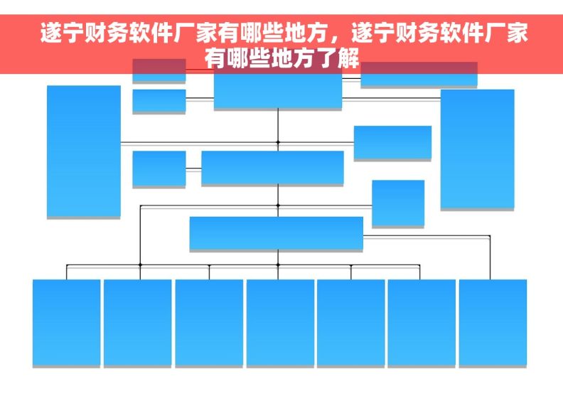  遂宁财务软件厂家有哪些地方，遂宁财务软件厂家有哪些地方了解