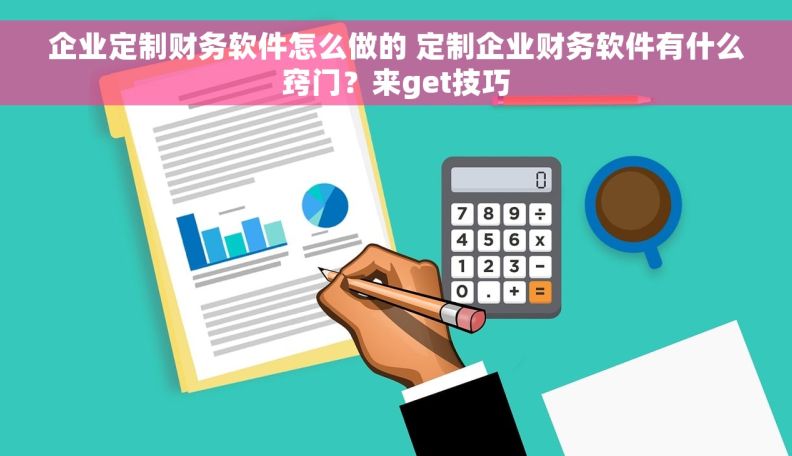 企业定制财务软件怎么做的 定制企业财务软件有什么窍门？来get技巧