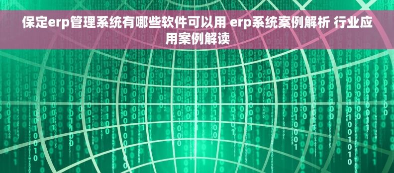 保定erp管理系统有哪些软件可以用 erp系统案例解析 行业应用案例解读