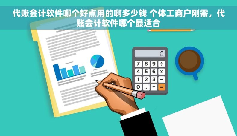 代账会计软件哪个好点用的啊多少钱 个体工商户刚需，代账会计软件哪个最适合