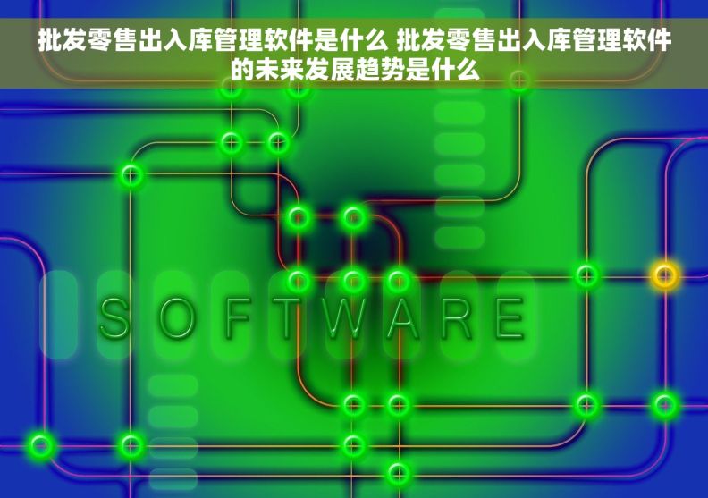 批发零售出入库管理软件是什么 批发零售出入库管理软件的未来发展趋势是什么