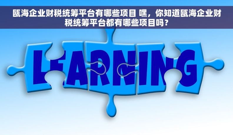 瓯海企业财税统筹平台有哪些项目 嘿，你知道瓯海企业财税统筹平台都有哪些项目吗？