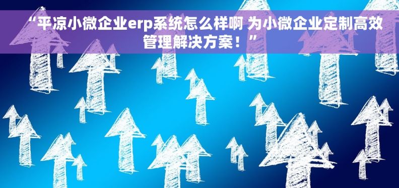 “平凉小微企业erp系统怎么样啊 为小微企业定制高效管理解决方案！”