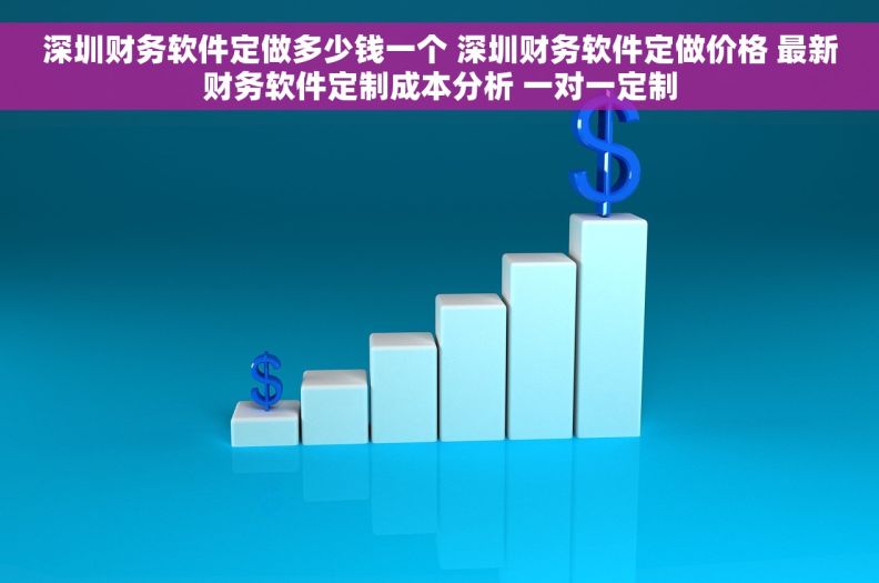 深圳财务软件定做多少钱一个 深圳财务软件定做价格 最新财务软件定制成本分析 一对一定制