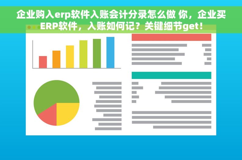 企业购入erp软件入账会计分录怎么做 你，企业买ERP软件，入账如何记？关键细节get！