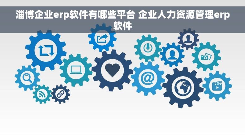 淄博企业erp软件有哪些平台 企业人力资源管理erp软件