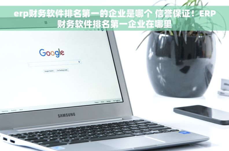 erp财务软件排名第一的企业是哪个 信誉保证！ERP财务软件排名第一企业在哪里