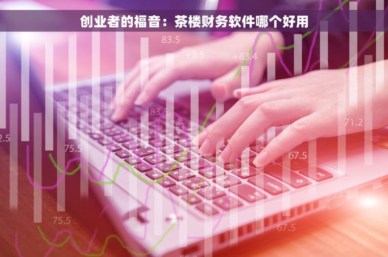 创业者的福音：茶楼财务软件哪个好用