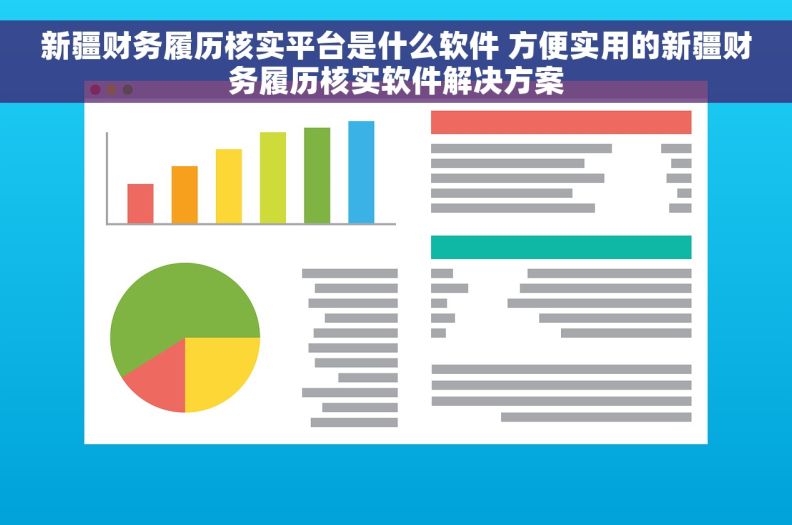 新疆财务履历核实平台是什么软件 方便实用的新疆财务履历核实软件解决方案