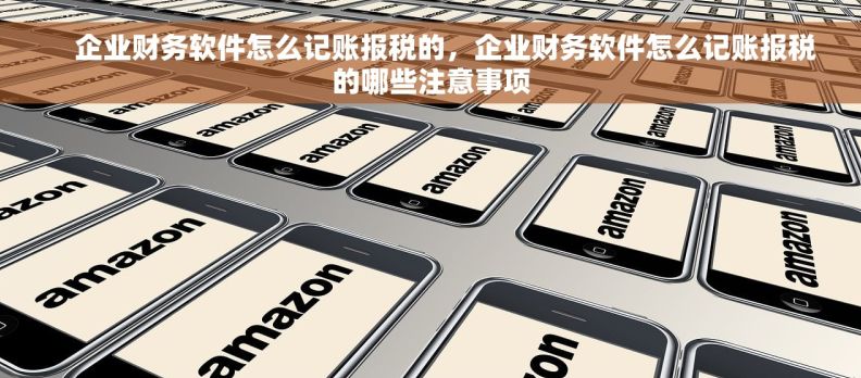     企业财务软件怎么记账报税的，企业财务软件怎么记账报税的哪些注意事项