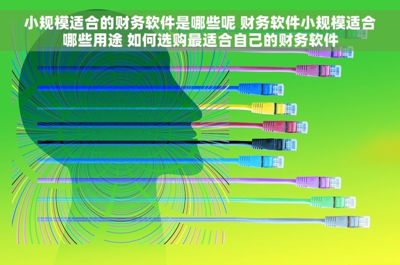 小规模适合的财务软件是哪些呢 财务软件小规模适合哪些用途 如何选购最适合自己的财务软件