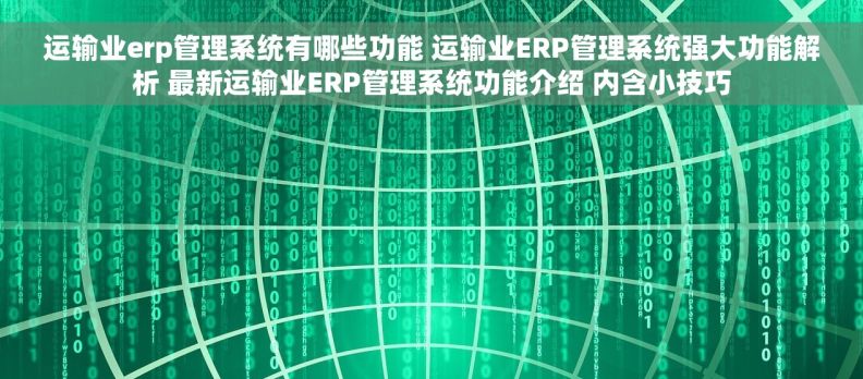 运输业erp管理系统有哪些功能 运输业ERP管理系统强大功能解析 最新运输业ERP管理系统功能介绍 内含小技巧