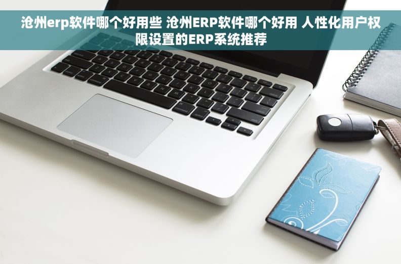 沧州erp软件哪个好用些 沧州ERP软件哪个好用 人性化用户权限设置的ERP系统推荐