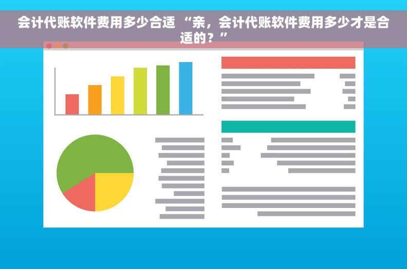 会计代账软件费用多少合适 “亲，会计代账软件费用多少才是合适的？”