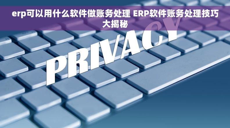 erp可以用什么软件做账务处理 ERP软件账务处理技巧大揭秘